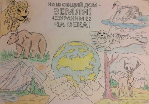 Рисунок берегите природу