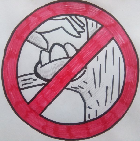 Плакат в защиту редких животных