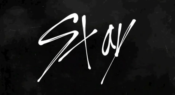 Росписи участников Stray Kids