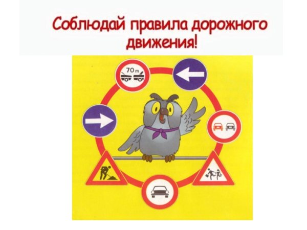 Соблюдение правил дорожного движения