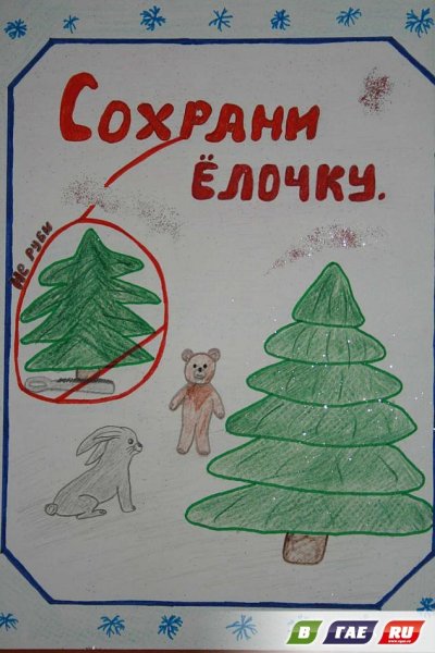 Плакат в защиту елок