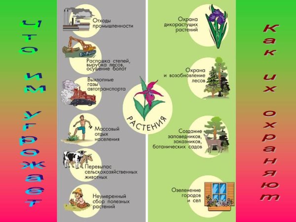 Рисунок по экологии