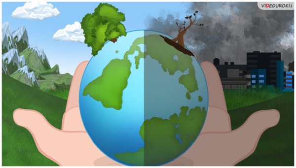 Антропогенное влияние человека на природу