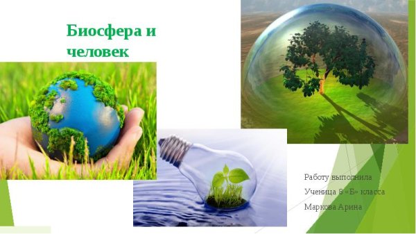 Экология и Биосфера человека