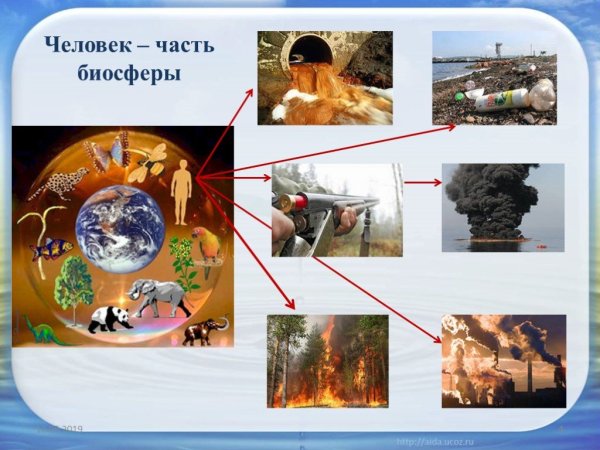 Биосфера и человек
