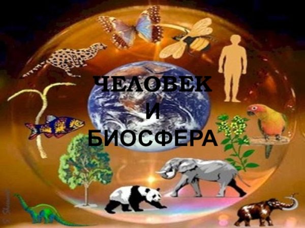 Человек и Биосфера фото