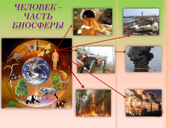 Биосфера и человек
