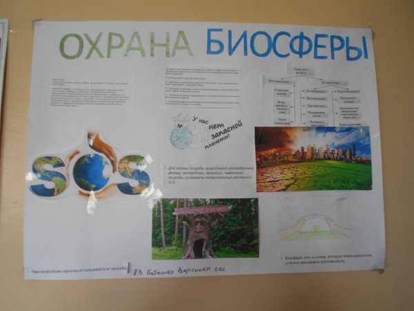 Плакат защита биосферы