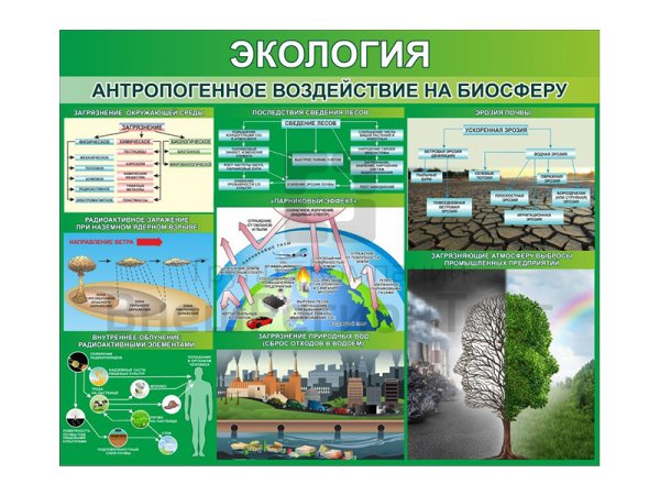 Антропогенное воздействие