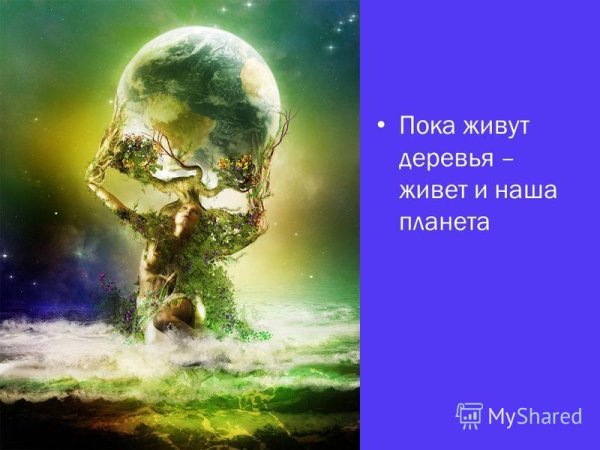 Биосфера природа