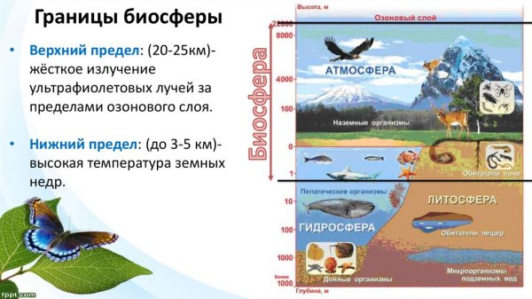 Границы биосферы