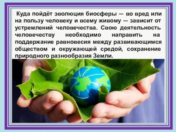 Роль растительности в биосфере