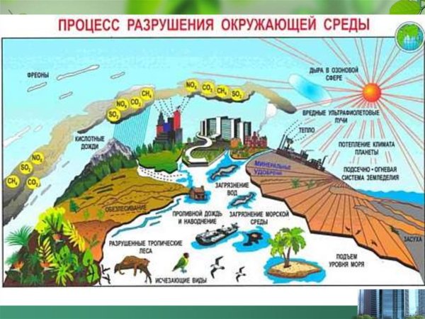 Процессы разрушения биосферы