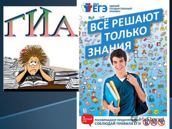 Мы за честный ЕГЭ