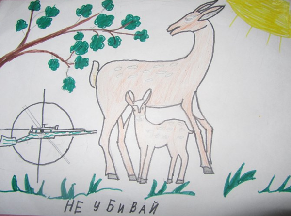 Нарисовать плакат берегите животных