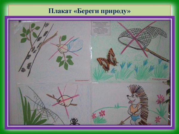 Плакат берегите животных