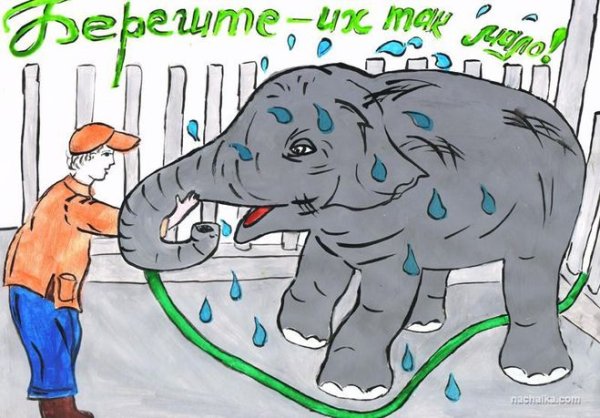 Плакат охрана природы