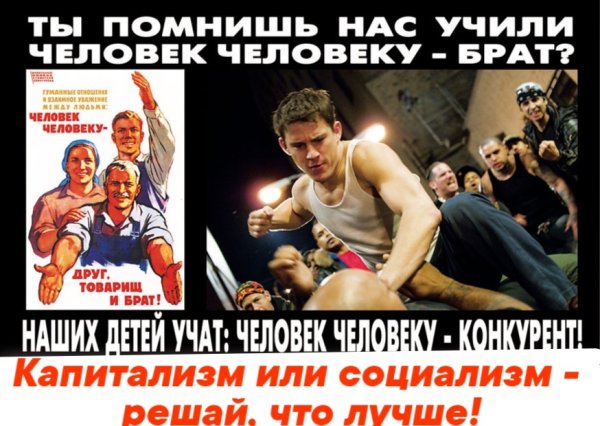 Человек человеку друг товарищ и брат