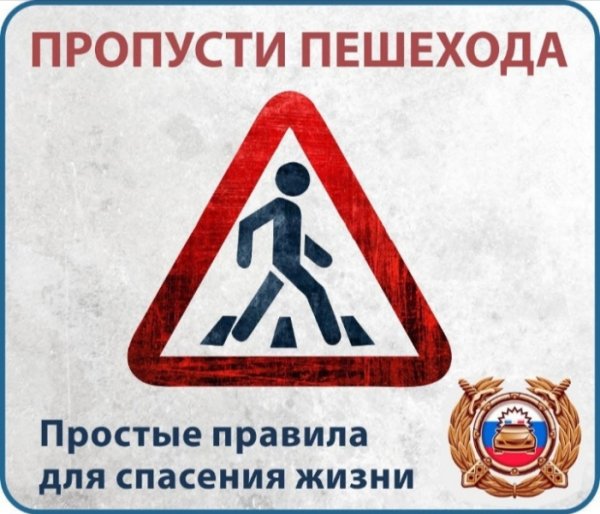 Водитель пропусти пешехода