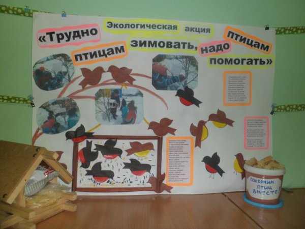 Надо птицам помогать