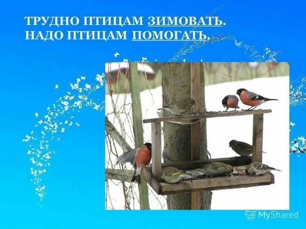 Трудно птицам зимовать надо птицам помогать