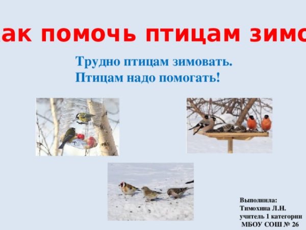 Трудно птицам зимовать надо птицам помогать