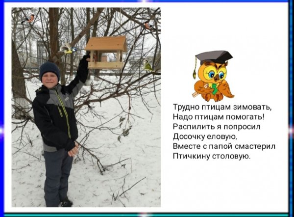 Трудно птицам зимовать надо птицам помогать