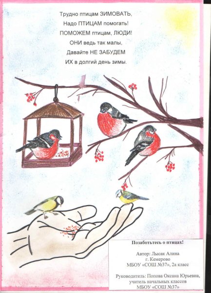Помоги птицам зимой