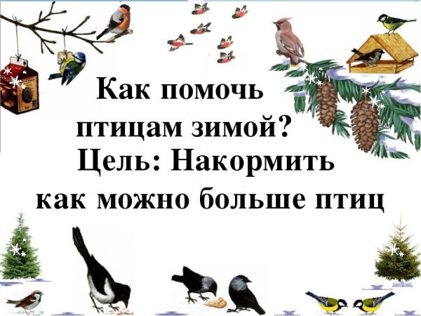 Как помочь птицам