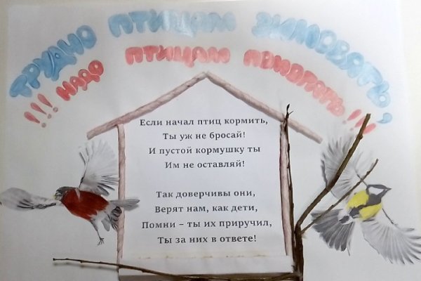 Плакат берегите птиц