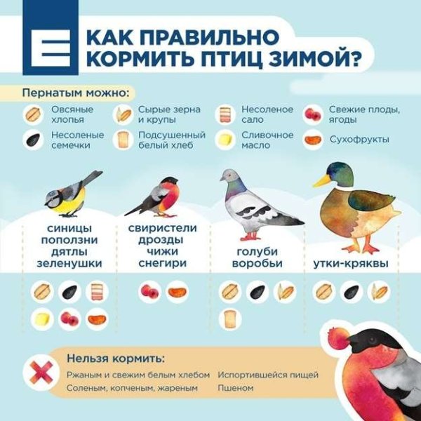 Газета ко Дню птиц