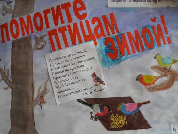 Поможем птицам зимой