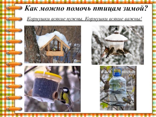 Покормите птиц зимой стихотворение