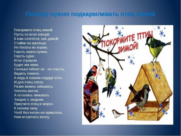 Плакат Покормите птиц зимой
