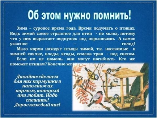 Покормите птиц зимой
