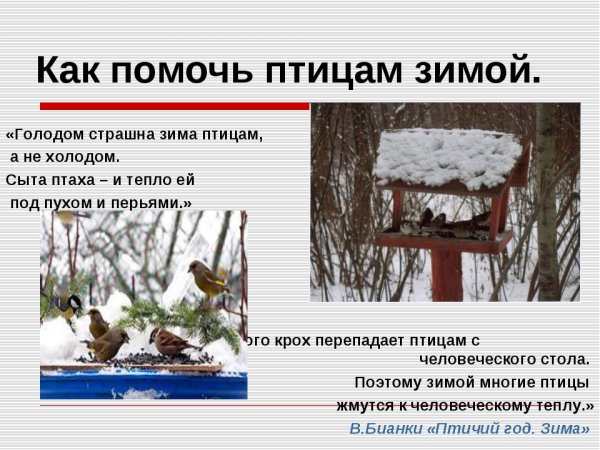 Презентация зимующие птицы