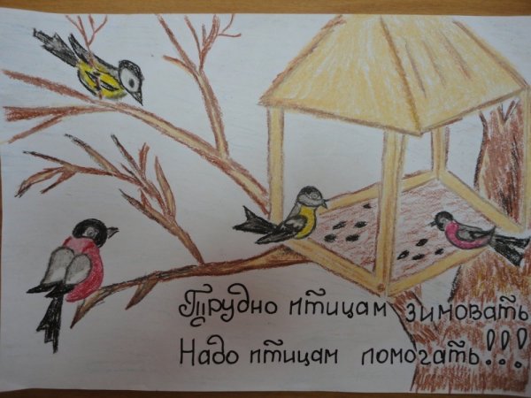 Покормите птиц зимой
