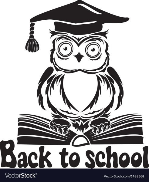 Логотип образование на прозрачном фоне