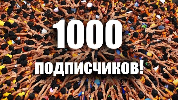 Нас уже 1000 подписчиков спасибо