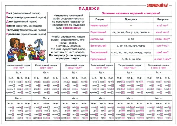 Таблица падежей русского языка для начальной школы