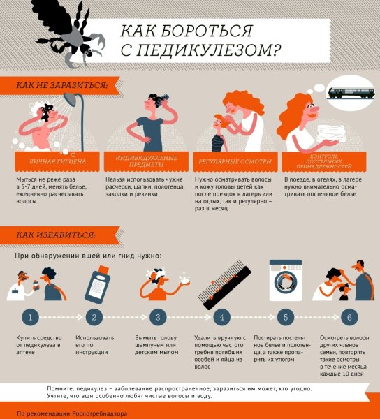Как бороться с педикулезом памятка
