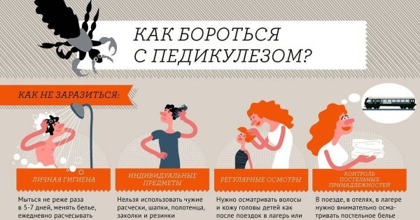 Профилактические меры педикулёз