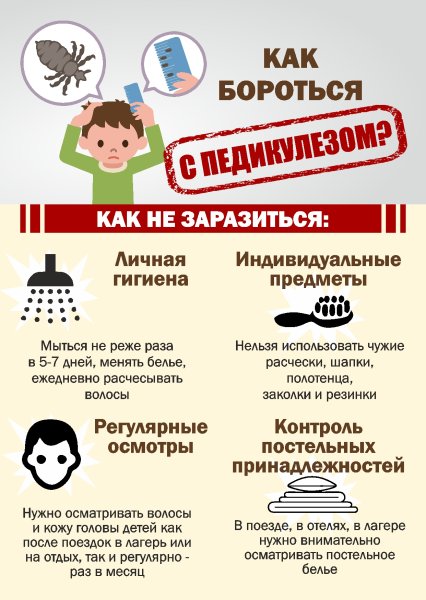 Профилактика педикулеза памятка для детей