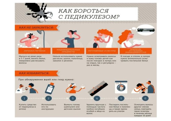 Памятка по профилактике сыпного тифа