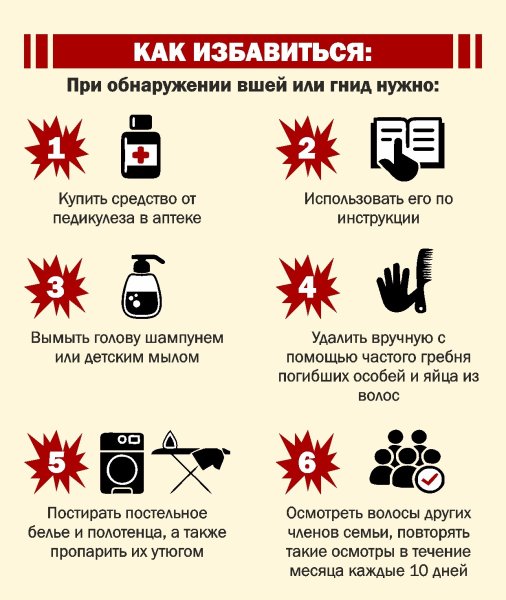 Профилактика педикулеза