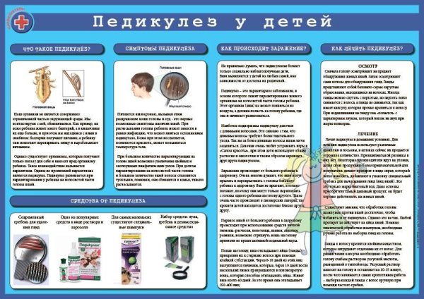 Профилактика педикулеза памятка