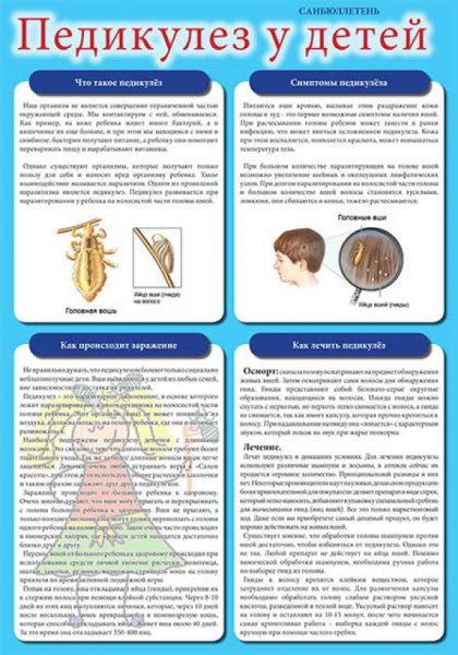 Санбюллетень профилактика педикулеза