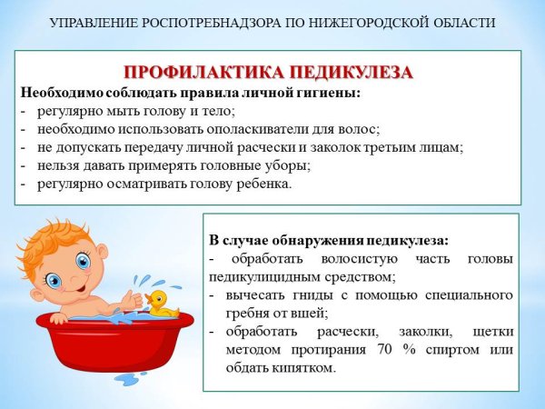 Профилактика педикулеза памятка