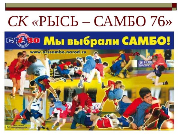 Плакаты по самбо