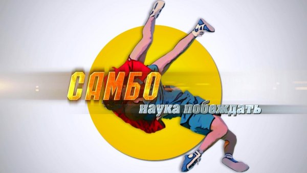 Спортивное самбо приемы